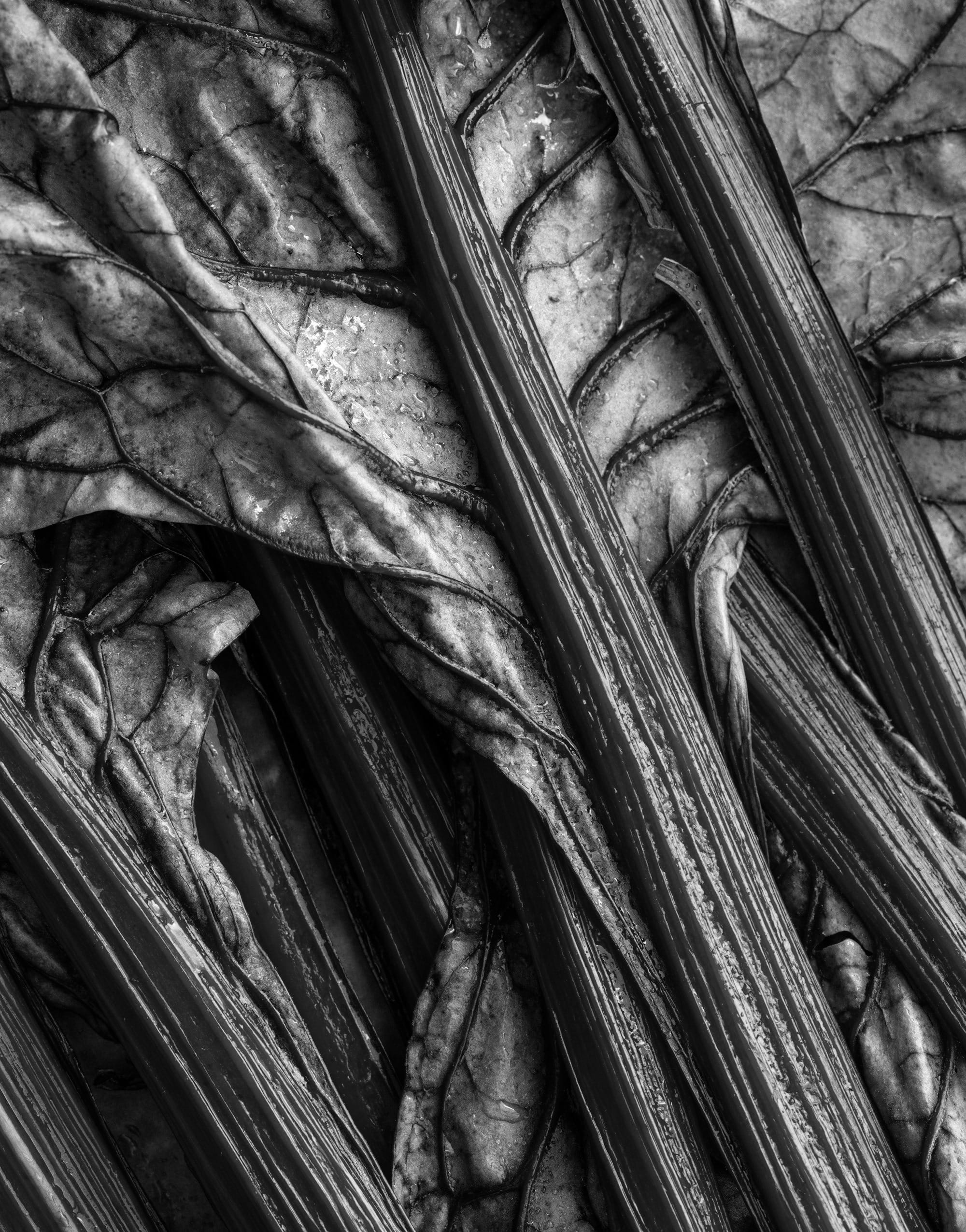 The Listening Station